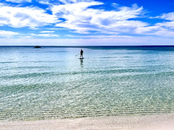 YOLO Paddle Boards