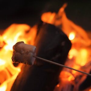 marshmallow roasting